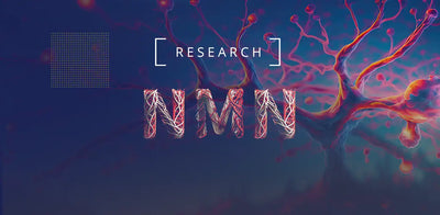 Nyt NMN Studie: En løsning mod inflammation i celler