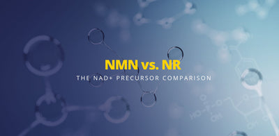 NMN vs NR - sammenligning af NAD+-forstadier