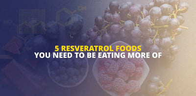 5 fødevarer med resveratrol, som du skal spise mere af
