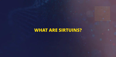 Hvad er Sirtuins?
